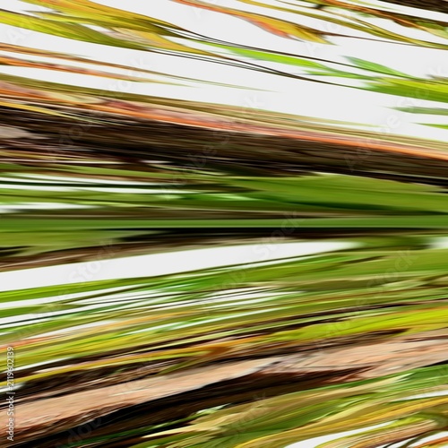 Abstract green and brown nature perspective motion blur pattern background created from a real photograph transformed with digital wind, stretch, and perspective filters in ibisPaint. A dynamic and mo