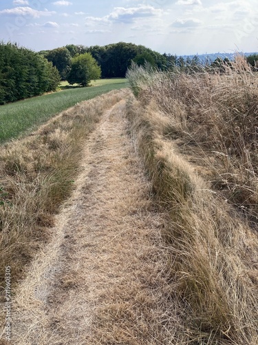 Feldweg bei Dürre im Sommer im Bergischen Land