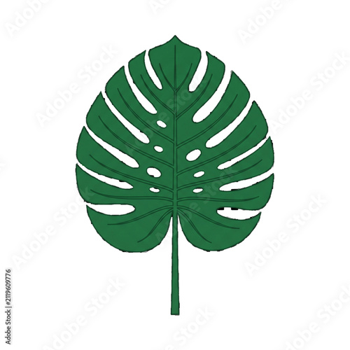 Tropical Monstera Leaf Botanical Flat Vector