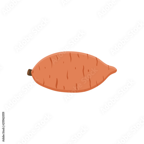 sweet potato, yam, isolated on white background. Sweet orange potato isolated on white background. Sweet potato vector illustration