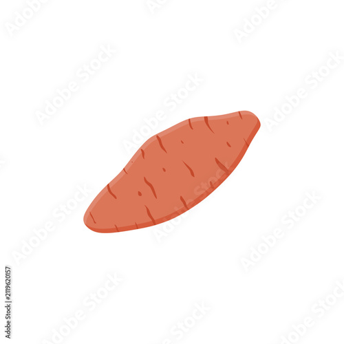 sweet potato, yam, isolated on white background. Sweet orange potato isolated on white background. Sweet potato vector illustration