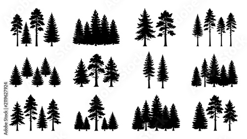 Fotografie Collection of black pine tree silhouettes isolated on a white background for des
