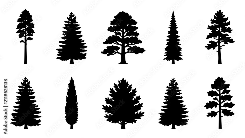 Obraz premium Set of black silhouettes of various coniferous and deciduous trees isolated on white background