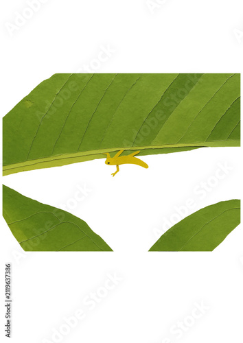 yellow spider on a green leaf
