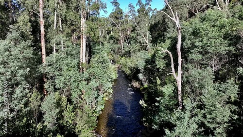 Spectacular aerial footage of Steavenson River Marysville Victoria Australia