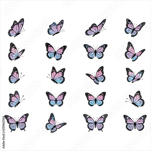 PrintPastel Butterfly SVG Colorful Butterfly