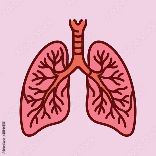 фотографія A flat cartoon vector illustration of human lungs featuring the upper trachea with larynx, segmented windpipe, and detailed bronchial branches