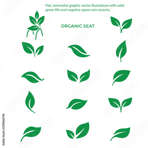 Green Leaf Icon Set for Organic, Eco-Friendly, and Natural Logo Design Vector