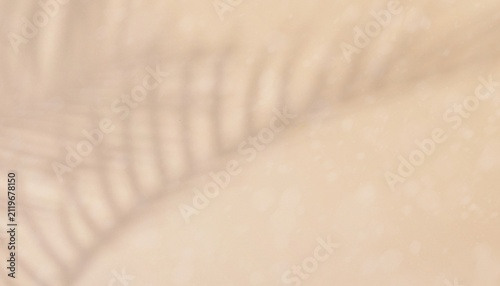 Soft Palm Leaf Shadow Overlay Background Light Beige Cream Studio Backdrop