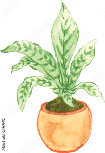 Watercolor Potted Plant Isolated