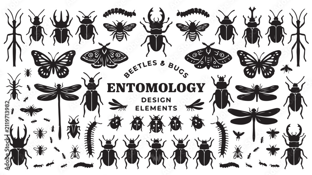 Fototapeta premium Decorative Insects and Floral Elements Hand Drawn Vector Illustration