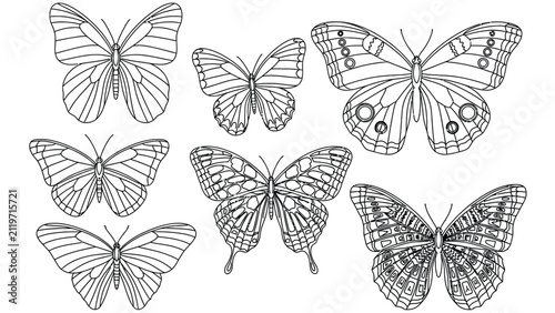 Butterfly coloring book page featuring diverse species with unique wing patterns for artistic relaxation and creative education for children and adults alike.