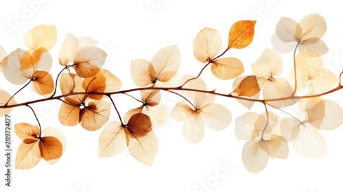 Autumn Branch: A delicate branch adorned with translucent autumn leaves, showcasing a spectrum of warm hues from amber to soft beige, evokes a sense of serene transition.