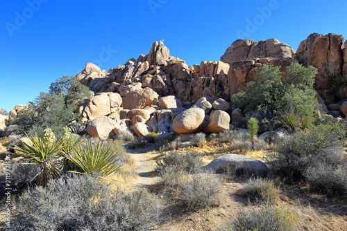 Hidden Valley Nature Trail at Joshua Tree National Park, a desert park with its geologic wonders and Joshua trees in California, United States