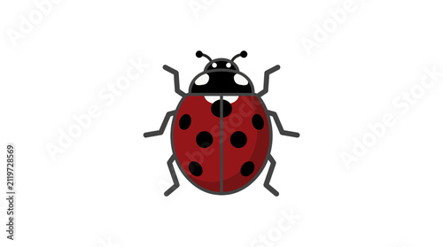 Minimalist ladybug insect vector illustration with clean black outlines on white background