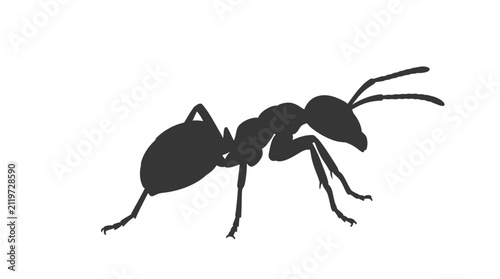 Minimalist ant line art illustration isolated on white background