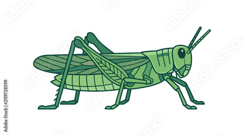 Minimalist vector outline illustration of a grasshopper insect profile on white background