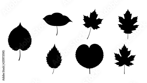 Collection of Various Leaf Silhouettes in Different Shapes and Sizes for Design and Illustration.