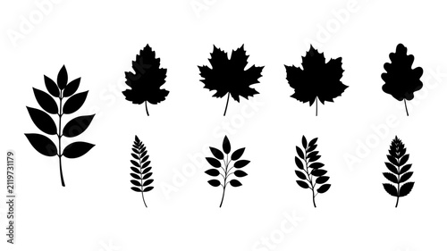 Collection of Various Leaf Silhouettes for Botanical Design.
