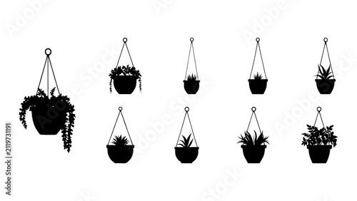 Collection of Hanging Plant Pots with Various Plants.