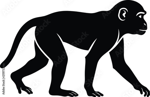 Monkey Silhouette Vector Illustration
Wild Primate Logo
