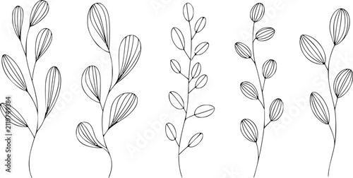 白い背景に孤立した縞模様の葉を持つ手描きの植物の枝のコレクション