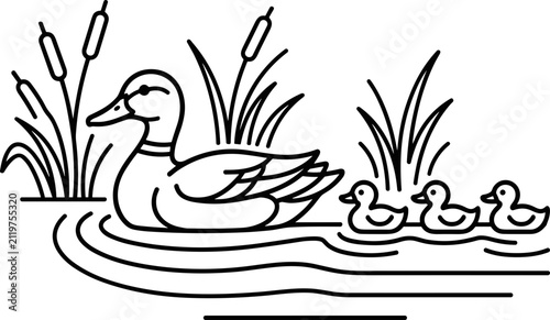 Canvastavla A mother duck swimming in a pond with her three ducklings.