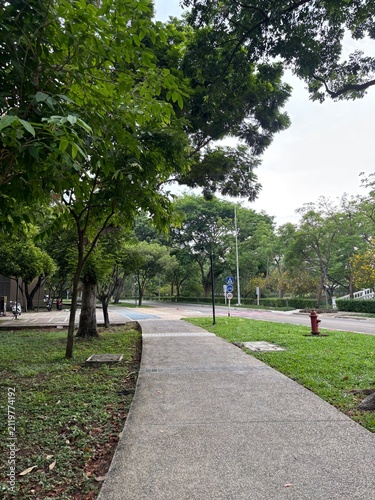Cuadro en lienzo walking in the park