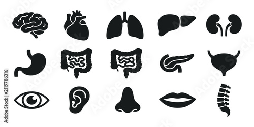Set of black silhouette icons representing human internal organs and body parts for medical and healthcare design