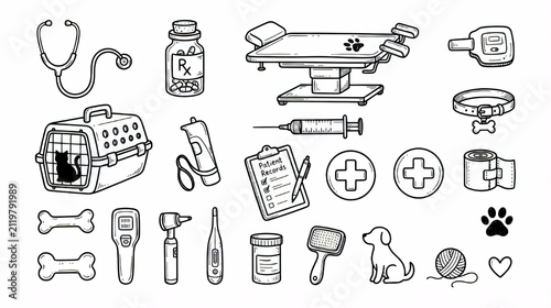 Hand-Drawn Veterinary Clinic and Pet Healthcare Elements Collection Draw