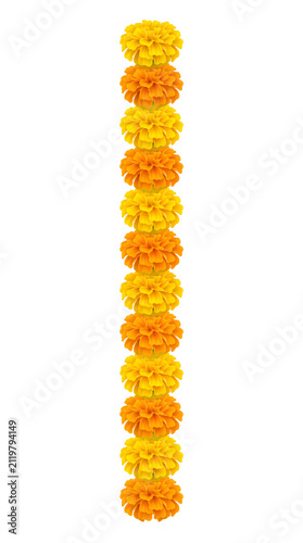 single vertical alternating yellow and orange marigold flower garland isolated on white background for festive sale banners wedding decoration greeting cards and promotions