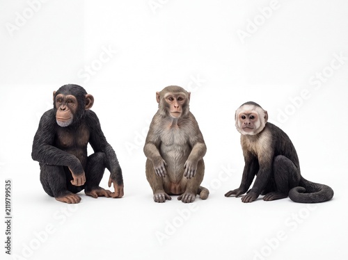 A collection of three different monkey figurines including a chimpanzee arranged on white background