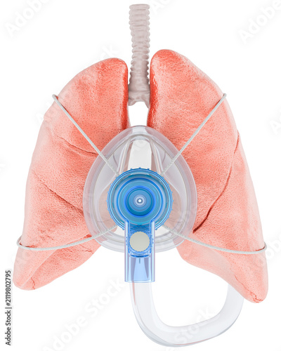 Bild auf Leinwand Human lungs with respiratory mask for oxygen therapy, transparent background