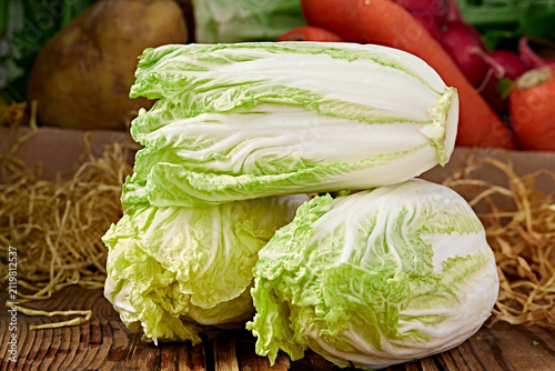 Obraz na płótnie Freshly picked organic baby bok choy