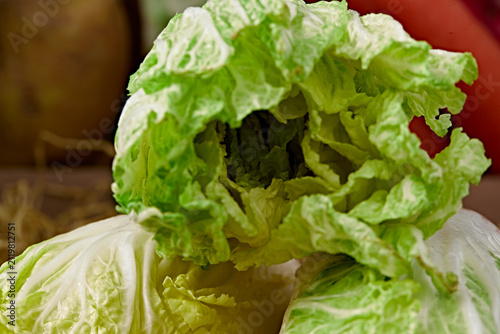 Cuadro en lienzo Freshly picked organic baby bok choy