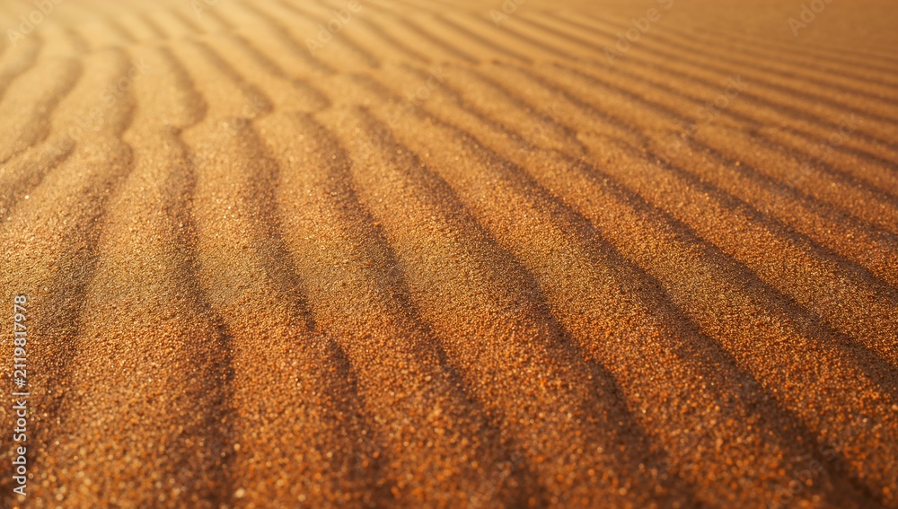 Fototapeta premium Golden desert sand dunes ripple texture background