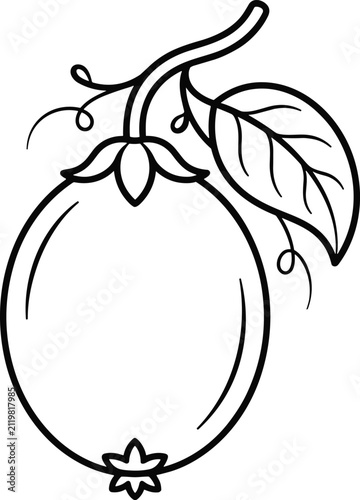 Obraz na plátně Hanging Passion Fruit Outline Graphic Featuring Vine Stem Swirling Curly Tendril