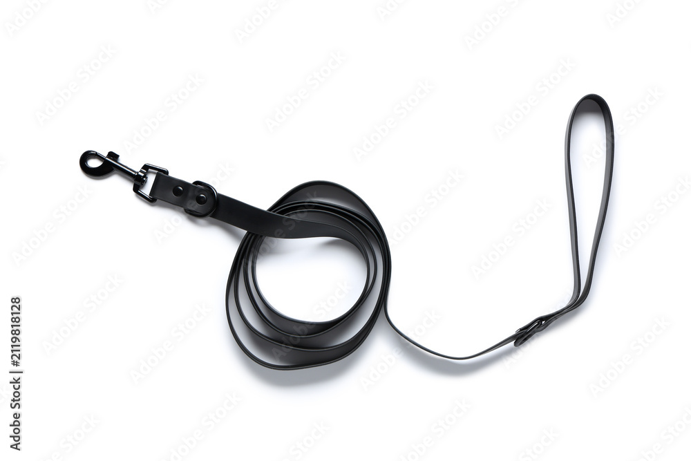Fototapeta premium Pet leash on white background