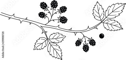 Quadro su tela Wild Blackberry Branch Outline Graphic Featuring Thorny Bramble Stem Aggregate B