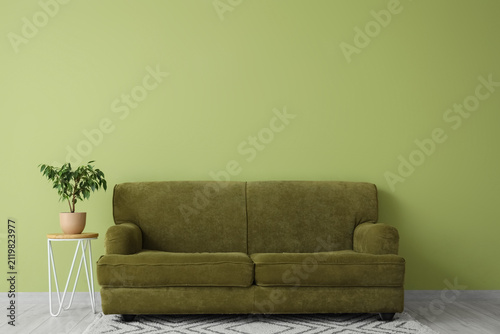 Stylish sofa and small oliv...
