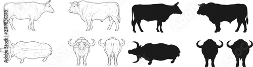 Cattle and Water Buffalo Collection with Line Art and Silhouette Farm Animal Vector Illustrations