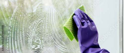 Obraz na plátně Hand in purple rubber glove cleaning a window with a green sponge and soapy suds