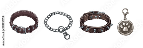 Hand drawn dog collar, chain, spiked collar and paw tag pet accessories vintage sketch collection