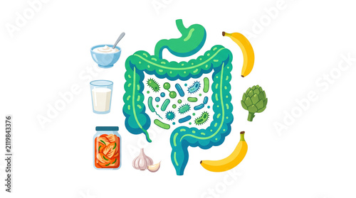 Quadro su tela Human gut microbiome health illustration, digestive system with probiotics and p