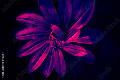 Abstract neon cyberpunk, Tropical leaves spiral natural pattern.