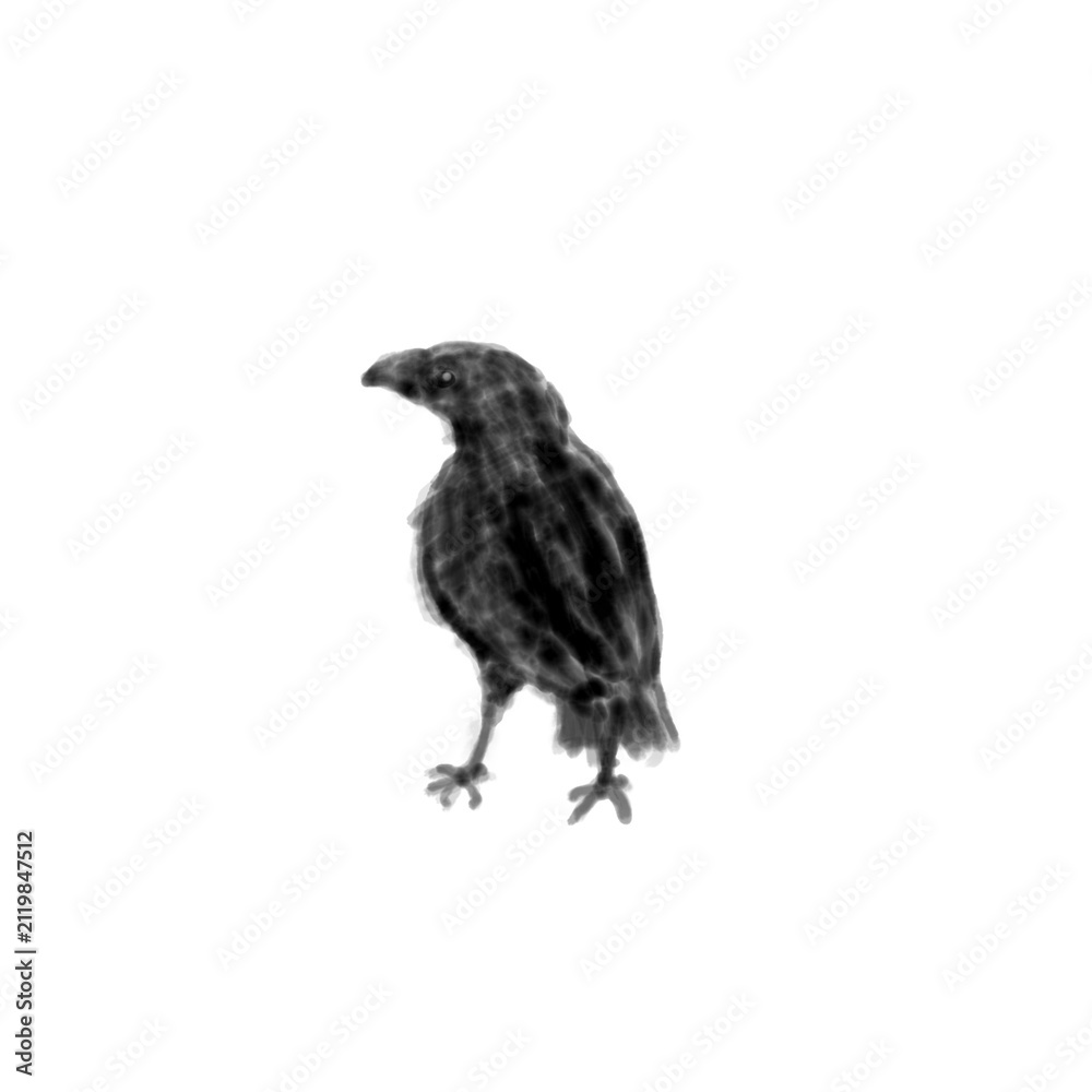 Fototapeta premium Minimalist Crow Line Drawing