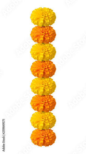 single vertical alternating yellow and orange marigold flower garland with eight blossoms isolated on white background for festive sale banners wedding decor greeting cards and promotions