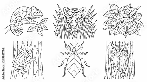 Animal Camouflage Set Line Art, Nature Mimicry Illustration