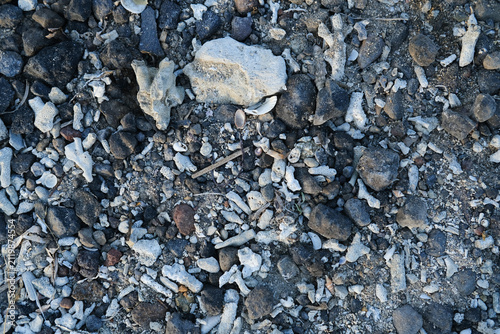 Canvastavla Beach Texture with Small Pebbles, Crushed Coral and Seashells Natural Background