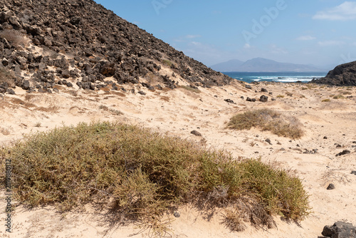 Natural landscape of Isla de Lobos. Lanzarote in the background. Fuerteventura, Canary Islands